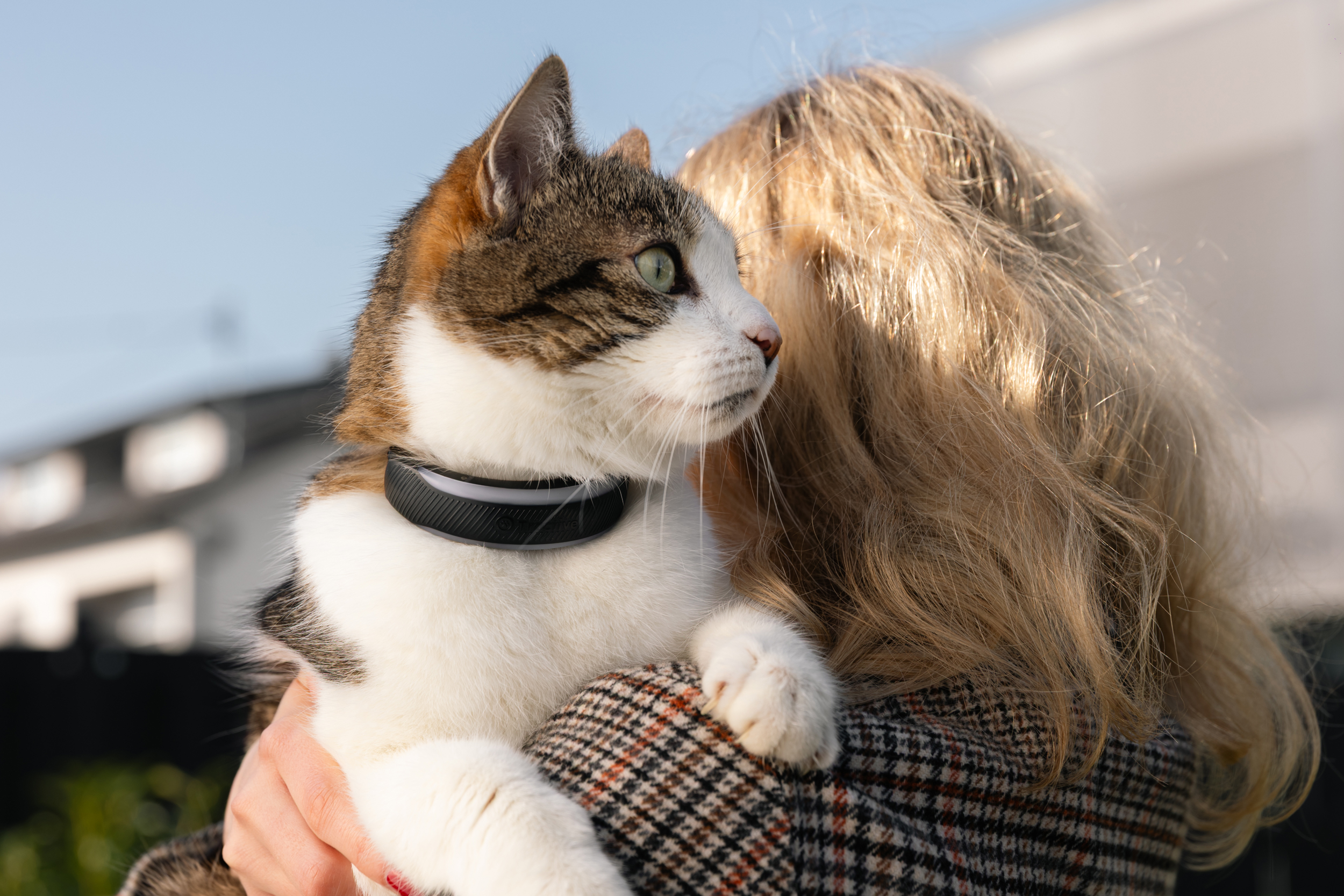 Tractive’s new dog and cat trackers provide more health insights for your pets