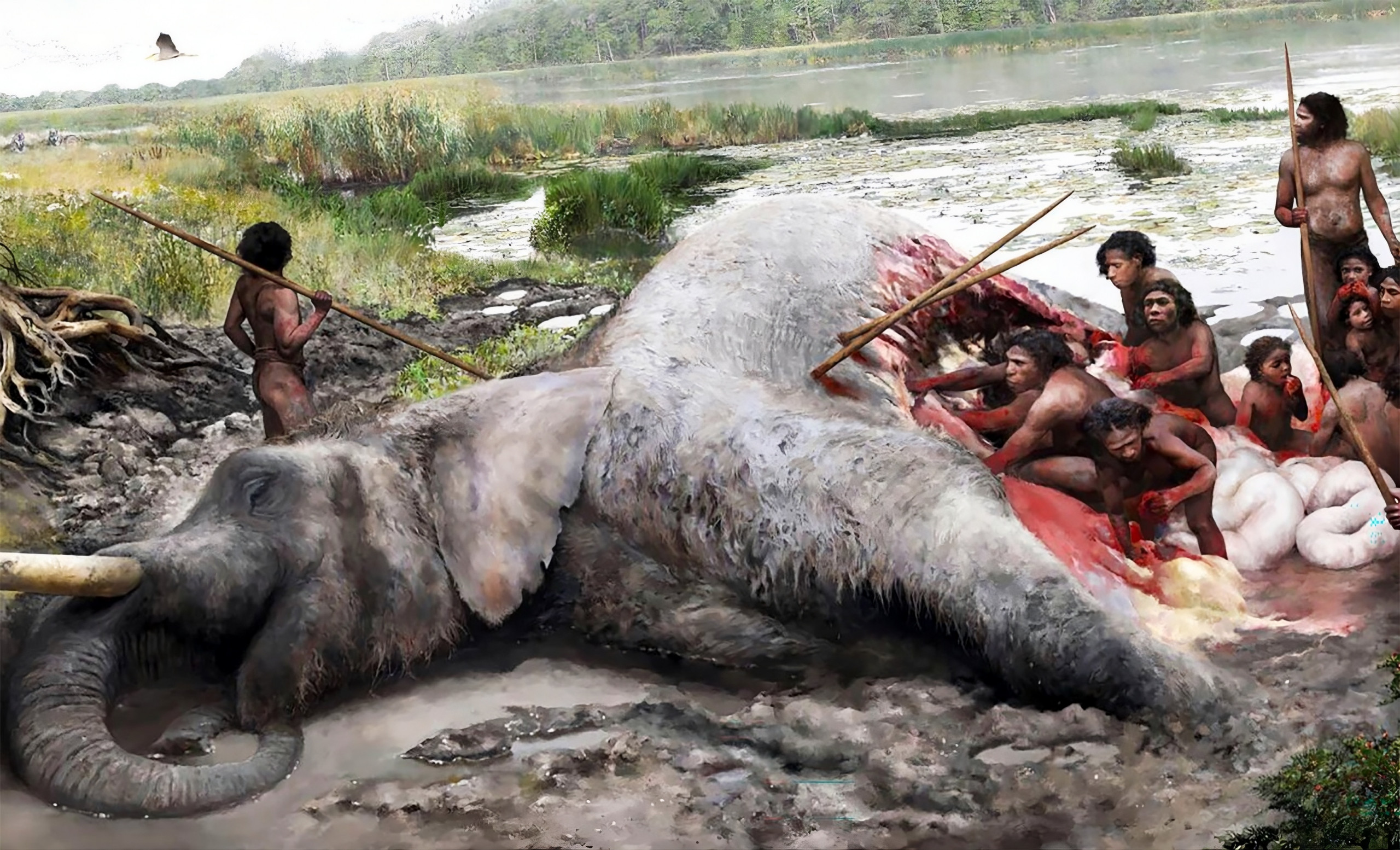 Descoberta confirma caça sofisticada de elefantes gigantes por neandertais