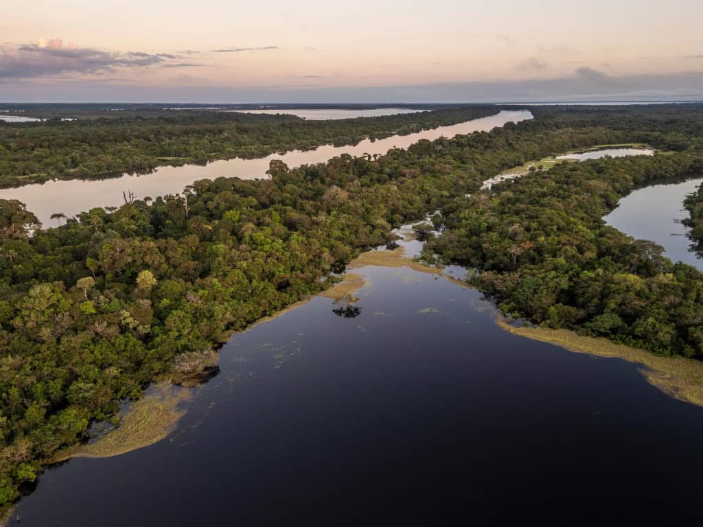 Ouro ilegal na Amazônia é “lavado” por permissões falsas e movimenta quase US$ 4 bilhões, aponta Greenpeace