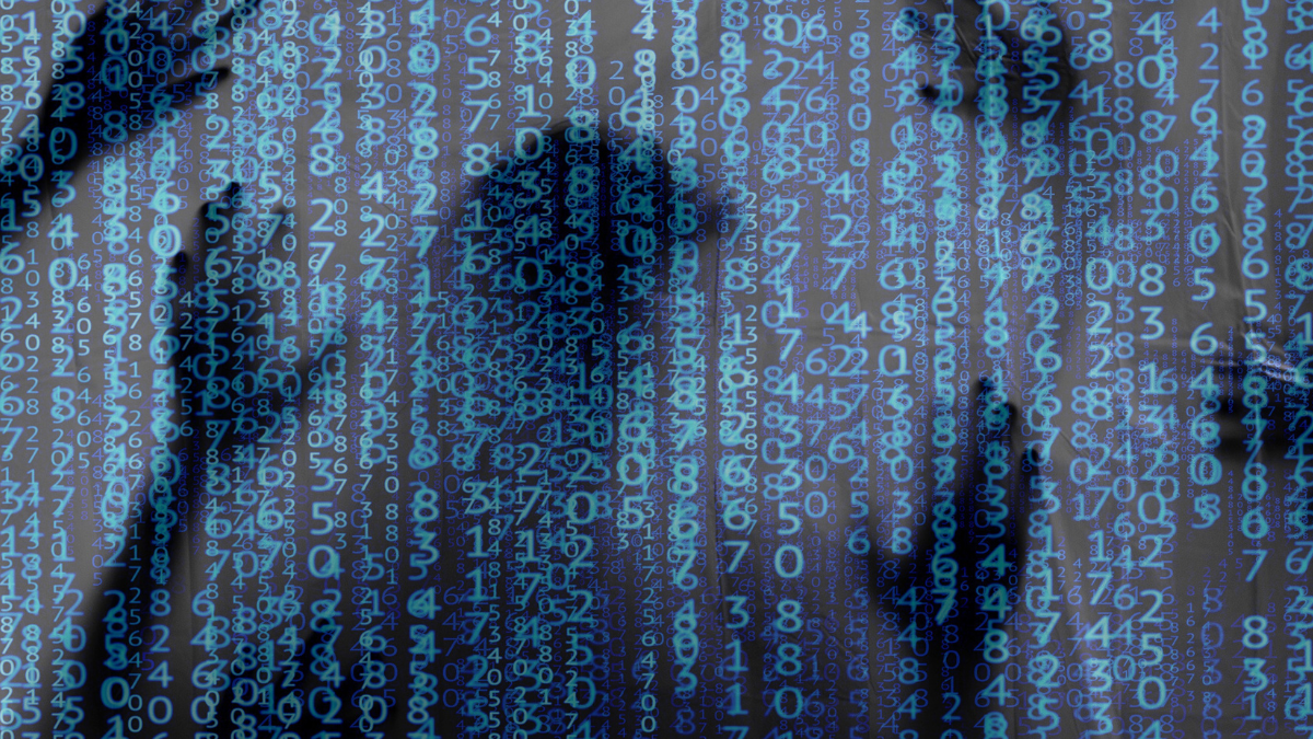 Polícia desativa 373 mil sites de crimes cibernéticos na dark web