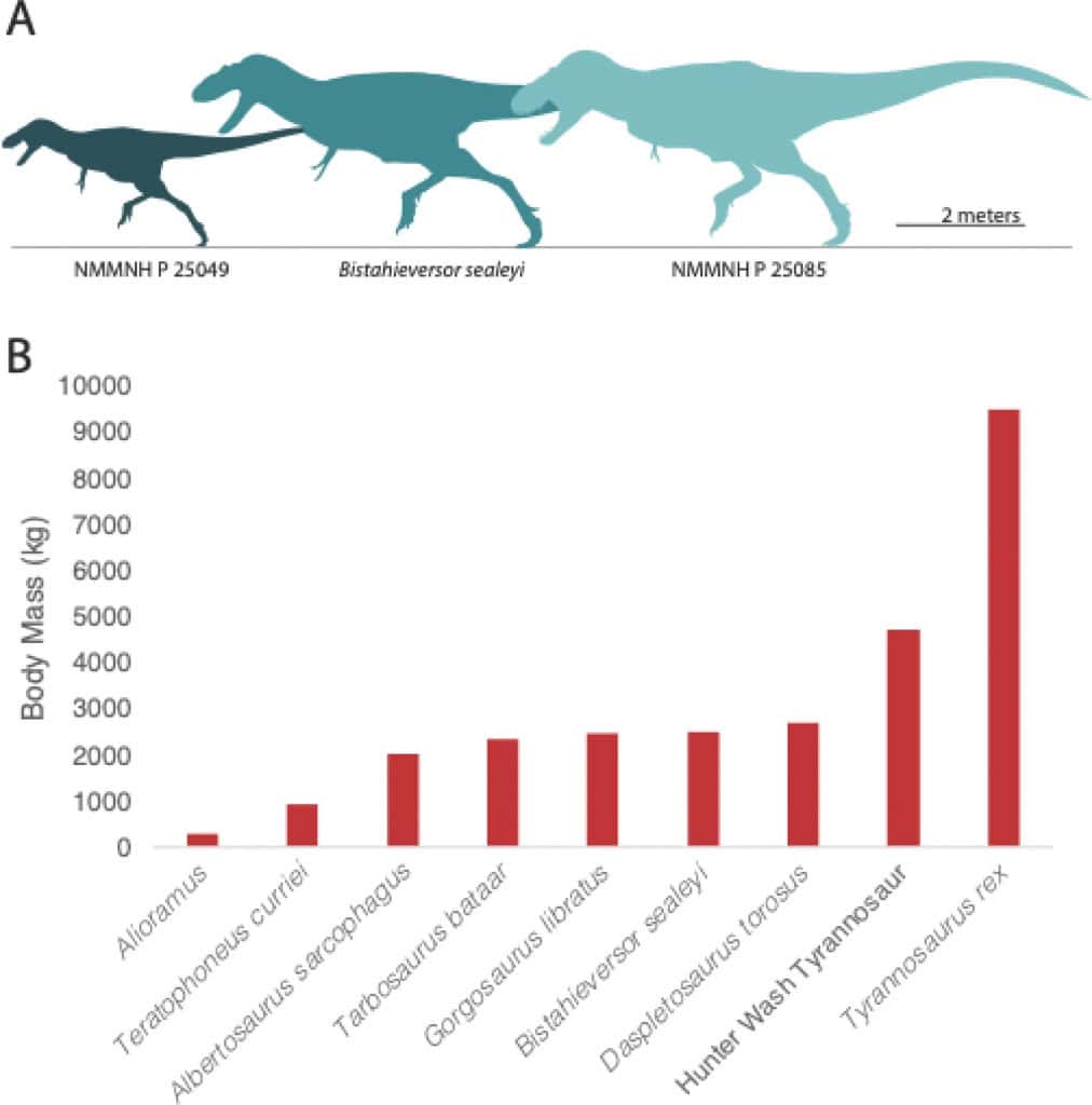 Novo tiranossauro gigante é descoberto e muda tudo o que sabemos sobre o T-Rex