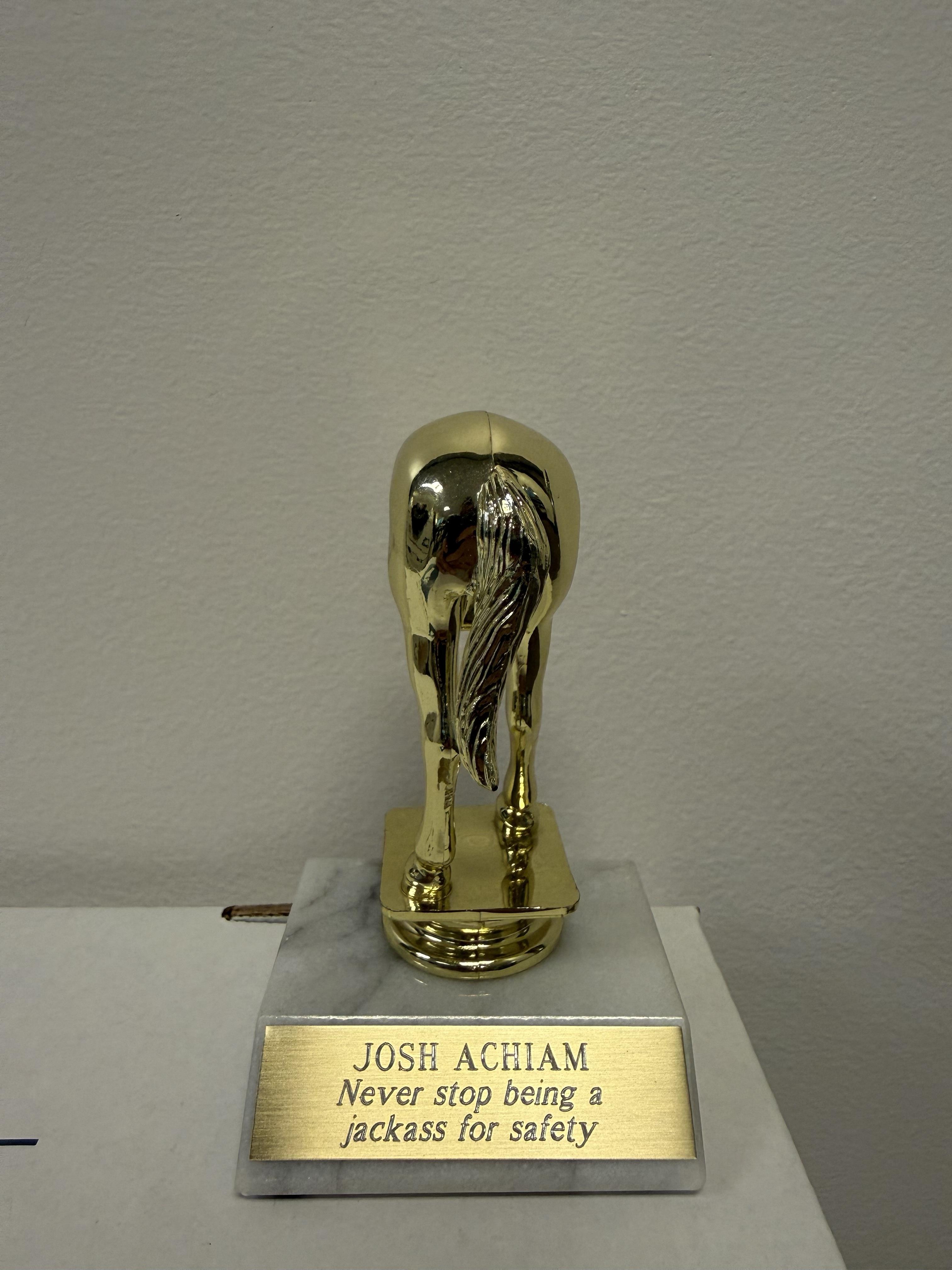 Behold, the Elon Musk jackass trophy