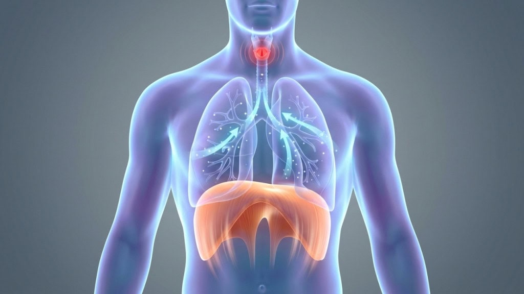 Para que serve o soluço?