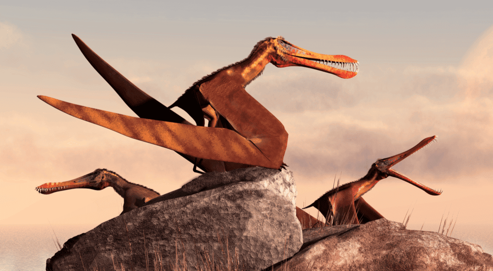 País dos dinossauros? Brasil desvenda segredo de fóssil de 113 milhões de anos
