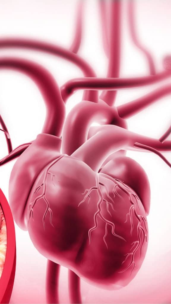 Cientistas Identificam Idade Crítica Quando o Envelhecimento Humano Se Acelera