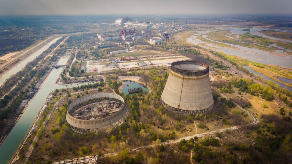 Fungo de Chernobyl: habilidade deixou pesquisadores intrigados