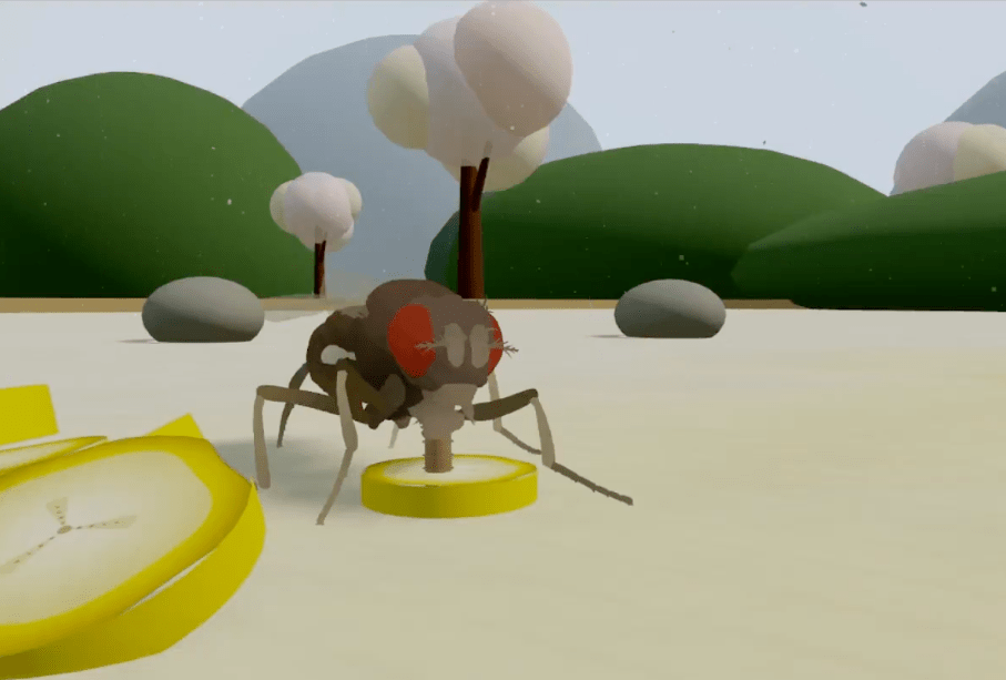 This is not a fly uploaded to a computer