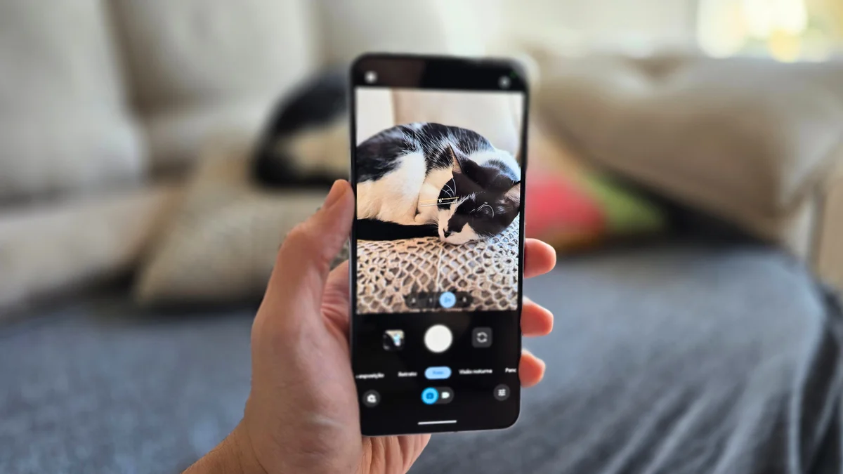 5 dicas para tirar fotos melhores dos seus pets