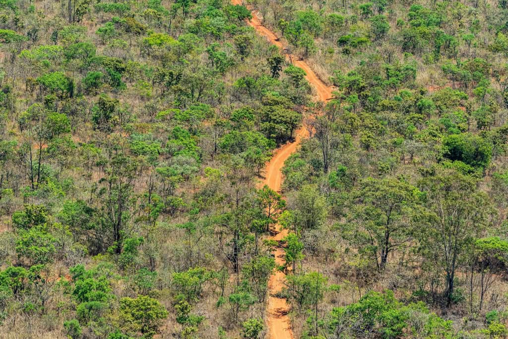 Desmatamento no Brasil cai 20,6% em 2025 e fica abaixo de 1 milhão de hectares pela primeira vez desde 2019