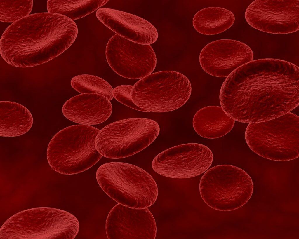 Terapia CAR-T agora pode ser usada mais cedo contra os cânceres no sangue