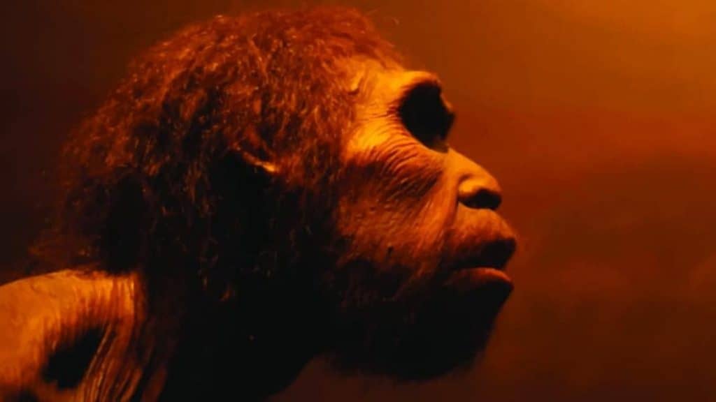 Hominíneos já usavam fogo há 1,8 milhão de anos, sugere estudo