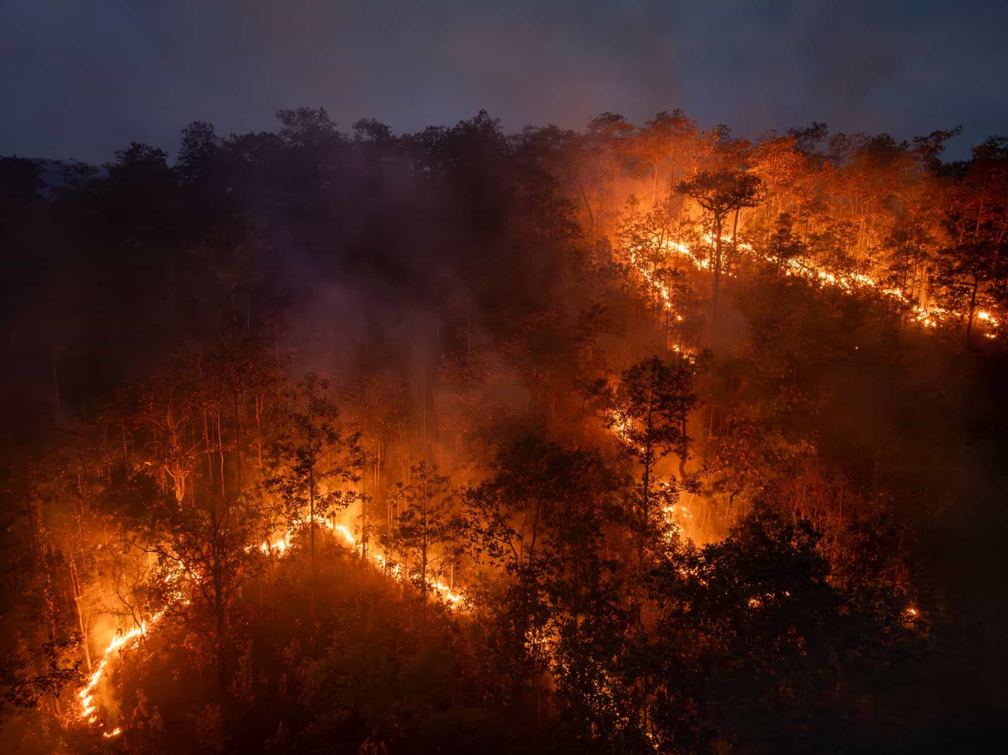 El Niño acende alerta: Brasil está preparado para enfrentar outra temporada de queimadas?