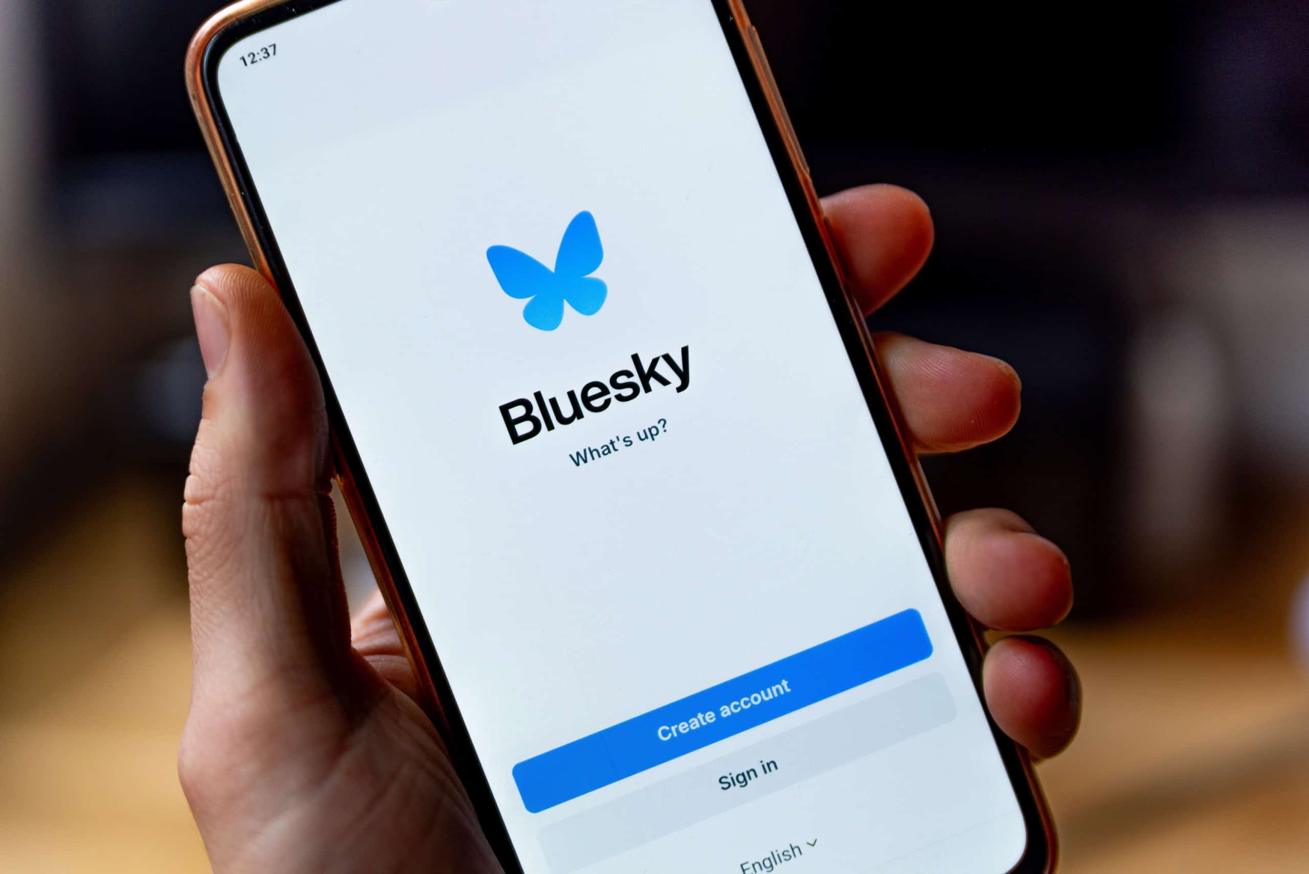 Bluesky confirma CEO definitivo após quatro meses de gestão interina