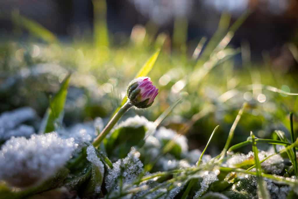 Frio perde força na terça, mas chuva continua pelo Brasil