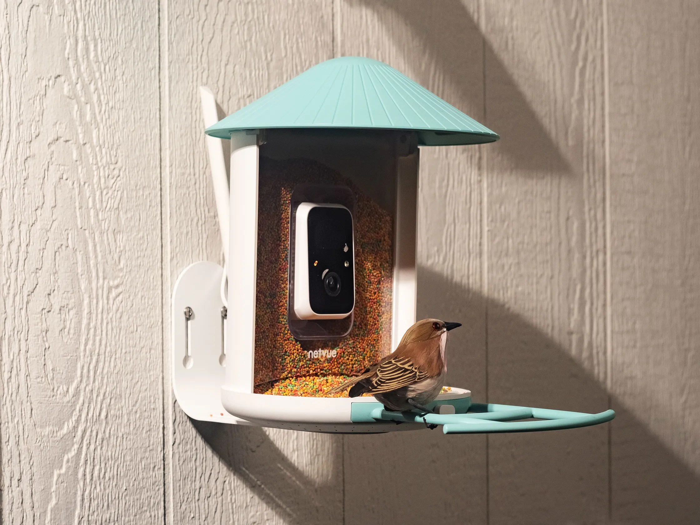 Amazon’s Big Spring Sale is a great time to get a fancy, AI-powered bird feeder