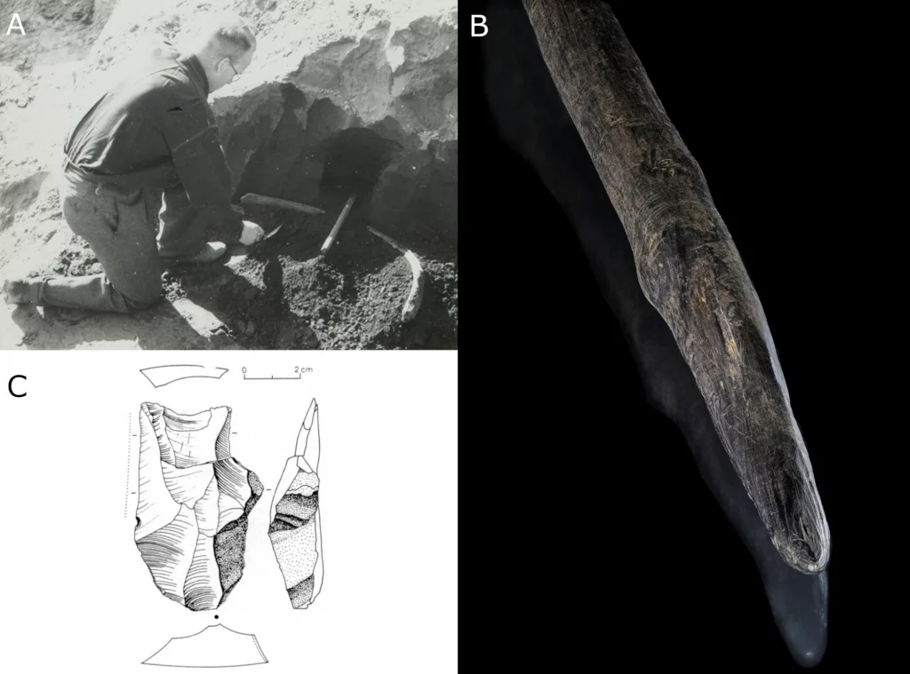 Descoberta confirma caça sofisticada de elefantes gigantes por neandertais